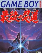 Play Ninja Spirit online